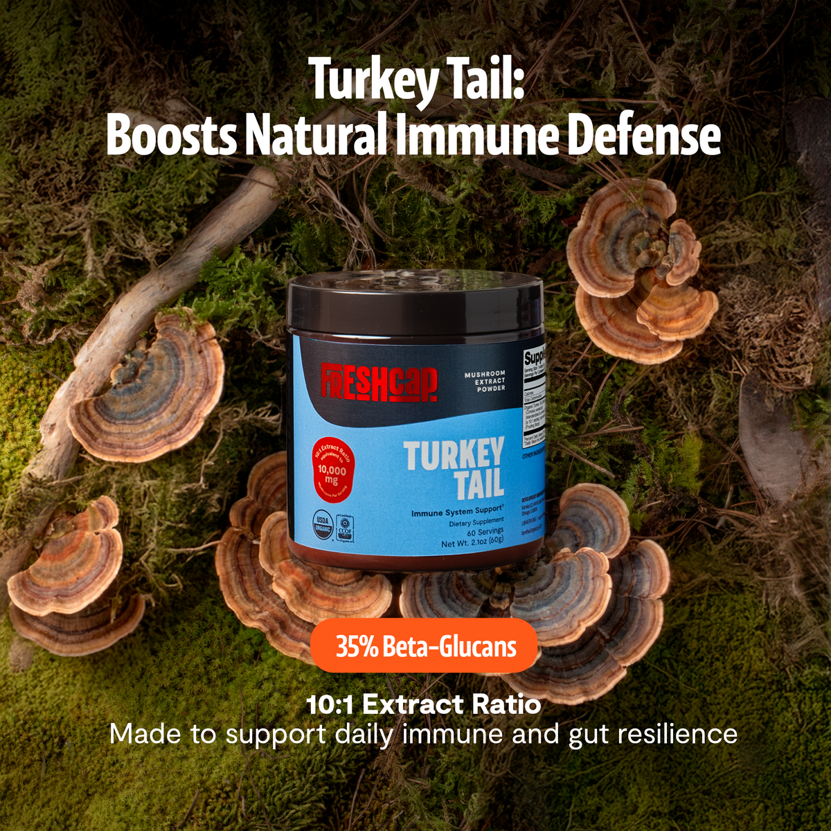Organic Turkey Tail Mushroom Powder