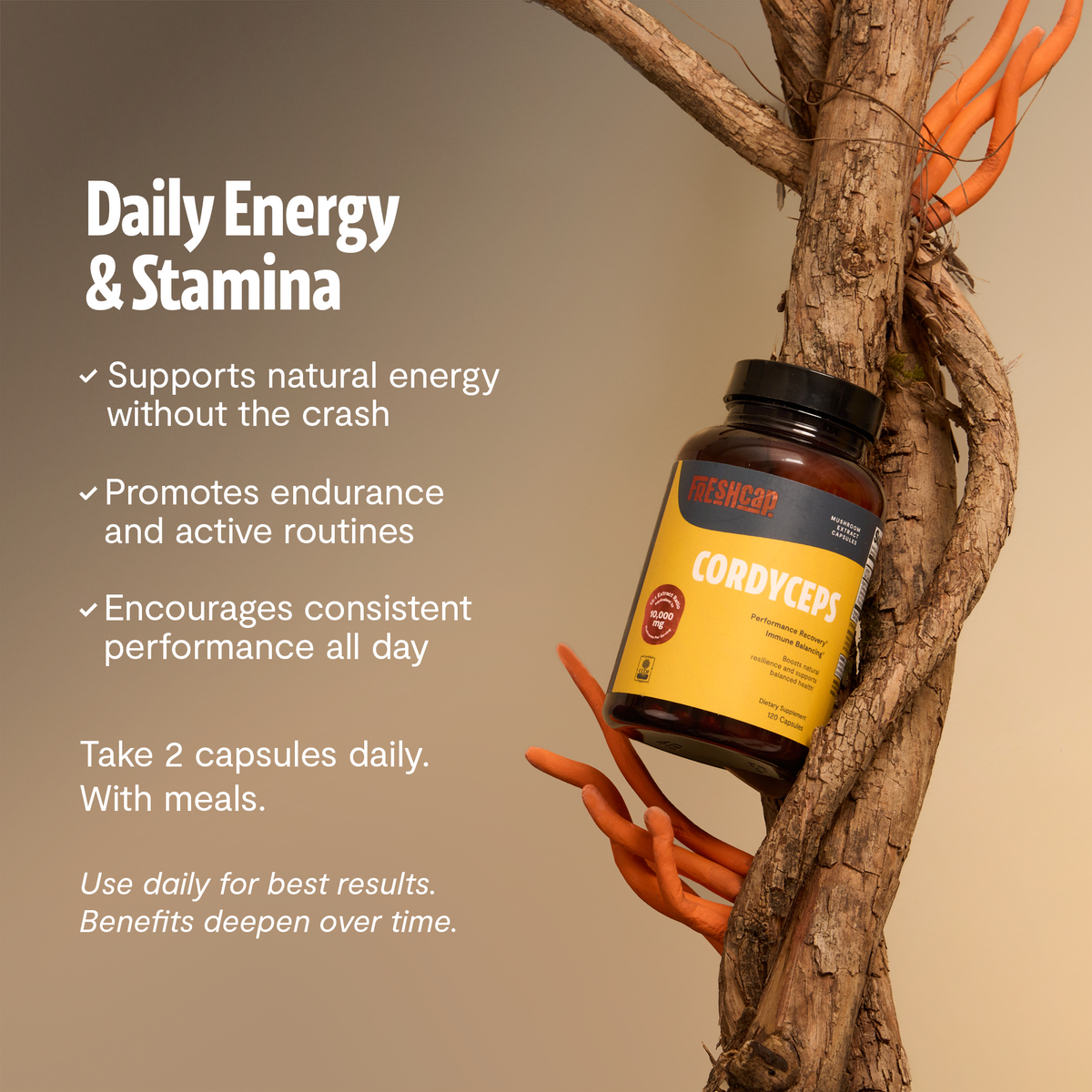 Organic Cordyceps Mushroom Supplement Capsules
